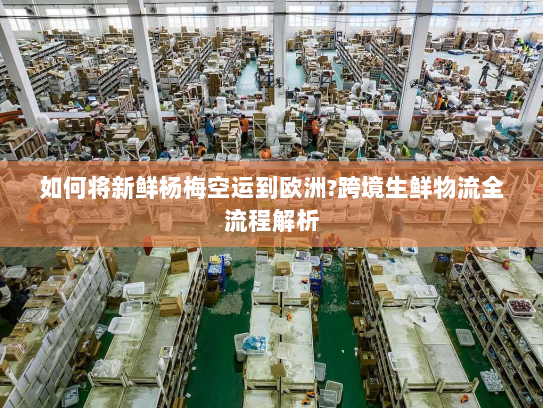 如何将新鲜杨梅空运到欧洲?跨境生鲜物流全流程解析 如何将新鲜杨梅空运到欧洲?跨境生鲜物流全流程解析