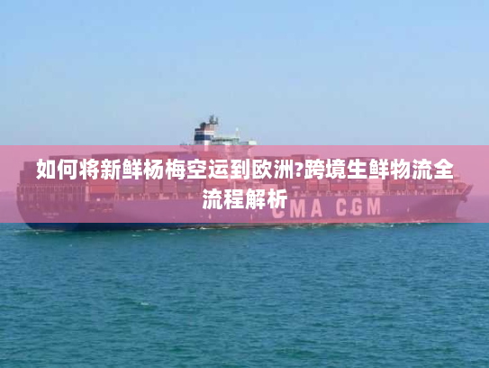 如何将新鲜杨梅空运到欧洲?跨境生鲜物流全流程解析 如何将新鲜杨梅空运到欧洲?跨境生鲜物流全流程解析