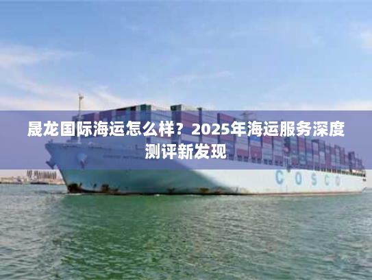 晟龙国际海运怎么样？2025年海运服务深度测评新发现