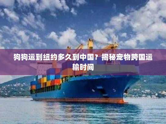 狗狗运到纽约多久到中国?揭秘宠物跨国运输时间 狗狗运到纽约多久到中国?揭秘宠物跨国运输时间