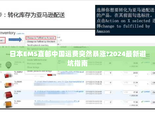 日本EMS直邮中国运费突然暴涨?2024最新避坑指南 日本EMS直邮中国运费突然暴涨?2024最新避坑指南