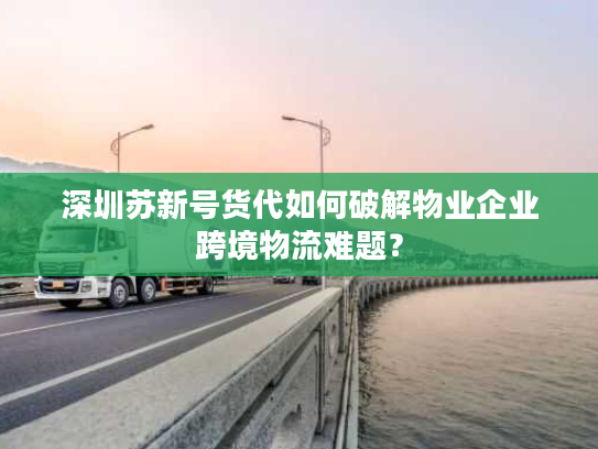 深圳苏新号货代如何破解物业企业跨境物流难题? 深圳苏新号货代如何破解物业企业跨境物流难题?
