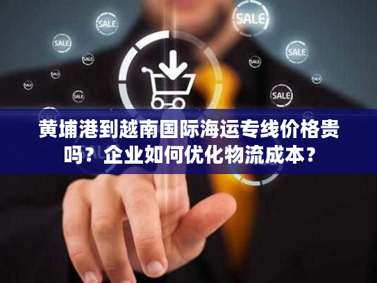 黄埔港到越南国际海运专线价格贵吗?企业如何优化物流成本? 黄埔港到越南国际海运专线价格贵吗?企业如何优化物流成本?