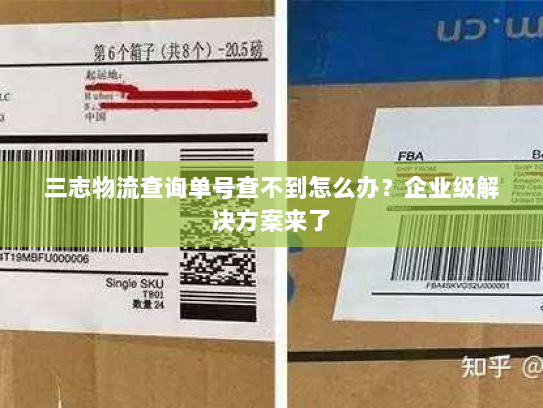 三志物流查询单号查不到怎么办？企业级解决方案来了