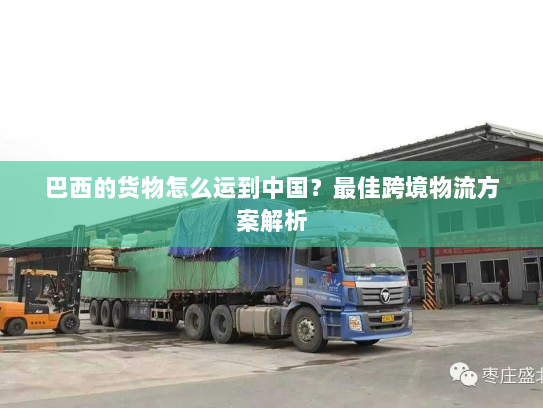 巴西的货物怎么运到中国？最佳跨境物流方案解析