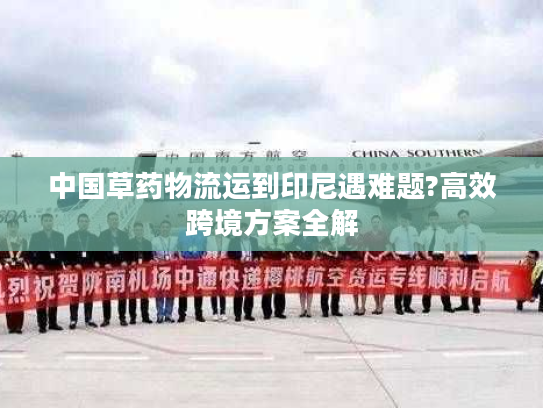 中国草药物流运到印尼遇难题?高效跨境方案全解