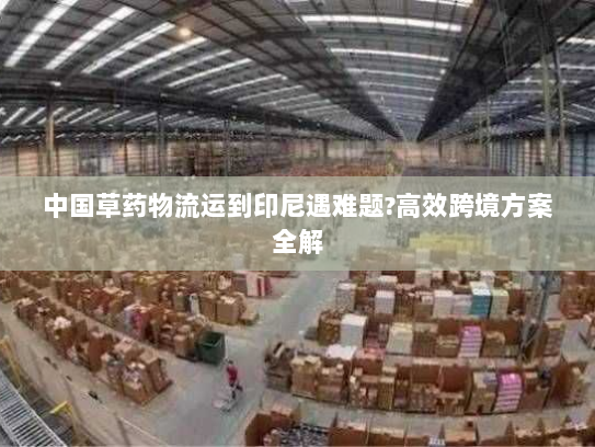 中国草药物流运到印尼遇难题?高效跨境方案全解 中国草药物流运到印尼遇难题?高效跨境方案全解