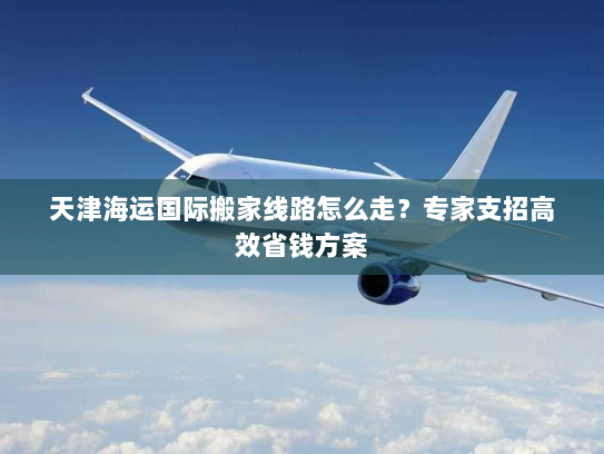 天津海运国际搬家线路怎么走?专家支招高效省钱方案 天津海运国际搬家线路怎么走?专家支招高效省钱方案