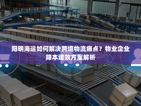 阳明海运如何解决跨境物流痛点？物业企业降本增效方案解析