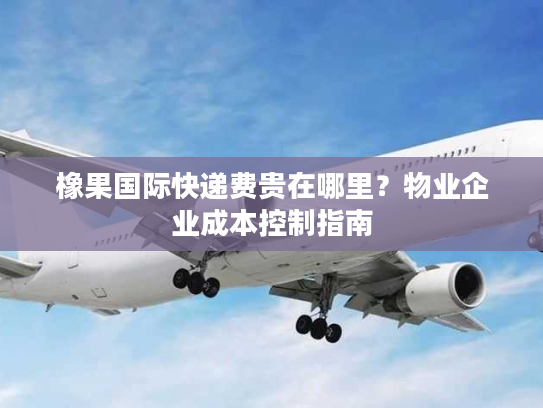 橡果国际快递费贵在哪里?物业企业成本控制指南 橡果国际快递费贵在哪里?物业企业成本控制指南