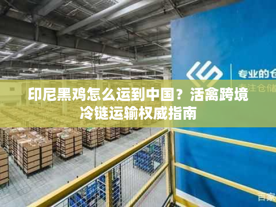 印尼黑鸡怎么运到中国？活禽跨境冷链运输权威指南