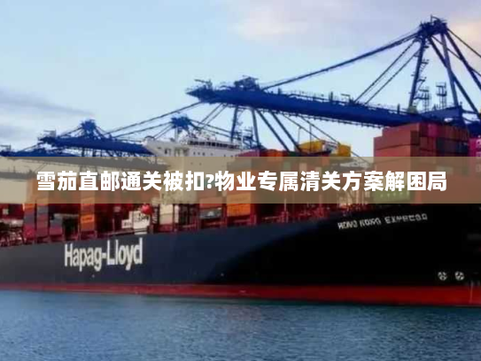 雪茄直邮通关被扣?物业专属清关方案解困局