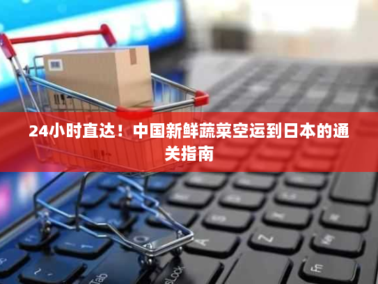 24小时直达!中国新鲜蔬菜空运到日本的通关指南 24小时直达!中国新鲜蔬菜空运到日本的通关指南