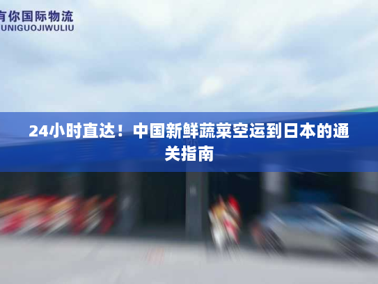 24小时直达!中国新鲜蔬菜空运到日本的通关指南 24小时直达!中国新鲜蔬菜空运到日本的通关指南