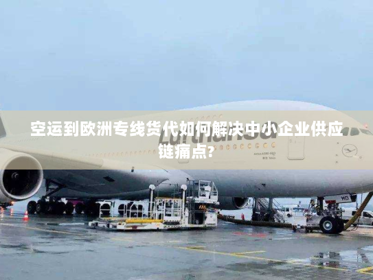 空运到欧洲专线货代如何解决中小企业供应链痛点? 空运到欧洲专线货代如何解决中小企业供应链痛点?