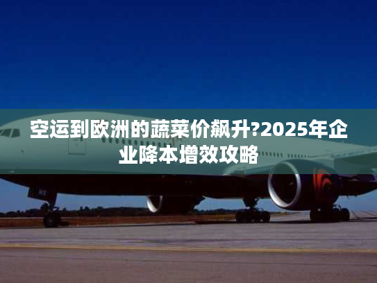 空运到欧洲的蔬菜价飙升?2025年企业降本增效攻略