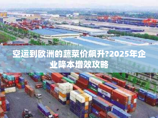 空运到欧洲的蔬菜价飙升?2025年企业降本增效攻略