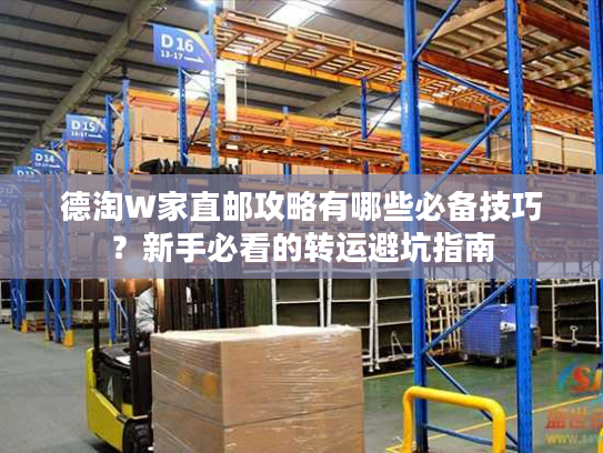 德淘W家直邮攻略有哪些必备技巧？新手必看的转运避坑指南