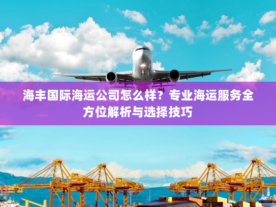 海丰国际海运公司怎么样?专业海运服务全方位解析与选择技巧 海丰国际海运公司怎么样?专业海运服务全方位解析与选择技巧