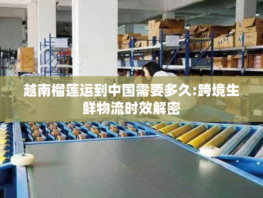 越南榴莲运到中国需要多久:跨境生鲜物流时效解密