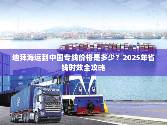 迪拜海运到中国专线价格是多少？2025年省钱时效全攻略