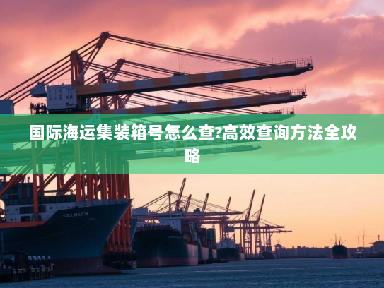 国际海运集装箱号怎么查?高效查询方法全攻略 国际海运集装箱号怎么查?高效查询方法全攻略