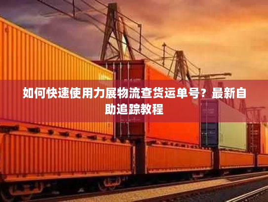 如何快速使用力展物流查货运单号?最新自助追踪教程 如何快速使用力展物流查货运单号?最新自助追踪教程