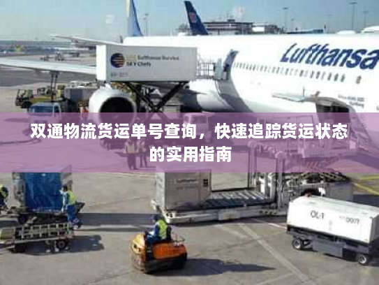 双通物流货运单号查询，快速追踪货运状态的实用指南