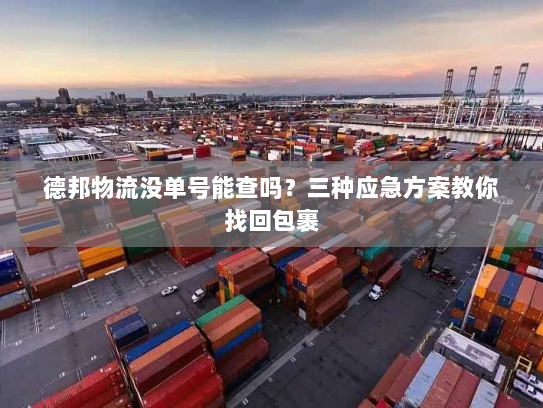 德邦物流没单号能查吗?三种应急方案教你找回包裹 德邦物流没单号能查吗?三种应急方案教你找回包裹