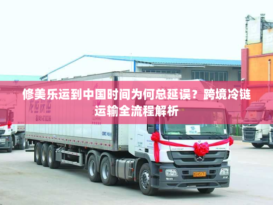 修美乐运到中国时间为何总延误?跨境冷链运输全流程解析 修美乐运到中国时间为何总延误?跨境冷链运输全流程解析