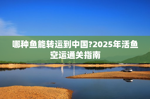 哪种鱼能转运到中国?2025年活鱼空运通关指南