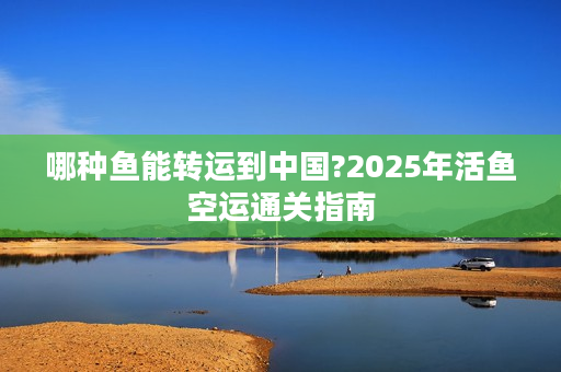 哪种鱼能转运到中国?2025年活鱼空运通关指南