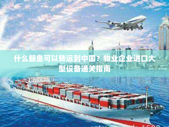 什么鲸鱼可以转运到中国？物业企业进口大型设备通关指南