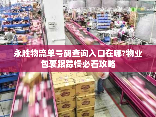 永胜物流单号码查询入口在哪?物业包裹跟踪慢必看攻略