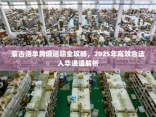 蒙古活羊跨境运输全攻略，2025年高效合法入华通道解析