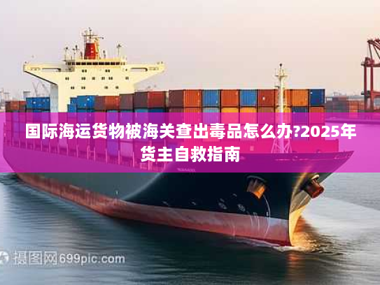 国际海运货物被海关查出毒品怎么办?2025年货主自救指南