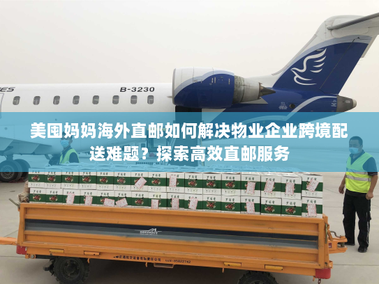美囤妈妈海外直邮如何解决物业企业跨境配送难题？探索高效直邮服务