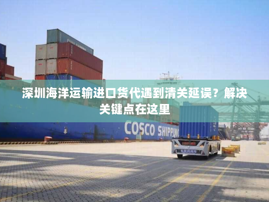 深圳海洋运输进口货代遇到清关延误?解决关键点在这里 深圳海洋运输进口货代遇到清关延误?解决关键点在这里