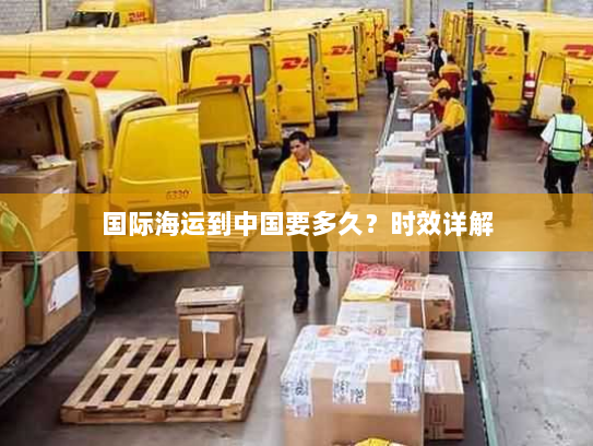 国际海运到中国要多久?时效详解 国际海运到中国要多久?时效详解