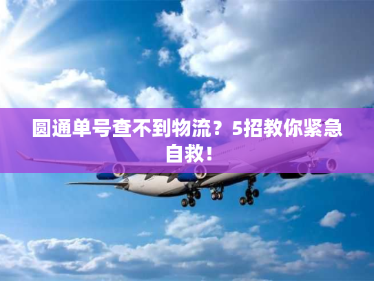 圆通单号查不到物流？5招教你紧急自救！