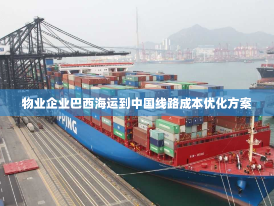 物业企业巴西海运到中国线路成本优化方案 物业企业巴西海运到中国线路成本优化方案