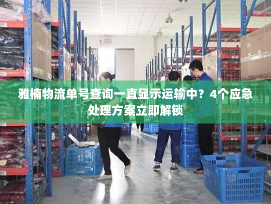 雅楠物流单号查询一直显示运输中？4个应急处理方案立即解锁