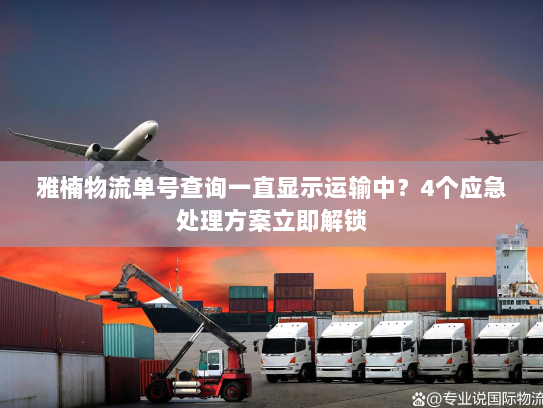 雅楠物流单号查询一直显示运输中？4个应急处理方案立即解锁