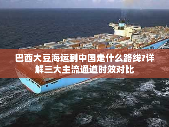 巴西大豆海运到中国走什么路线?详解三大主流通道时效对比