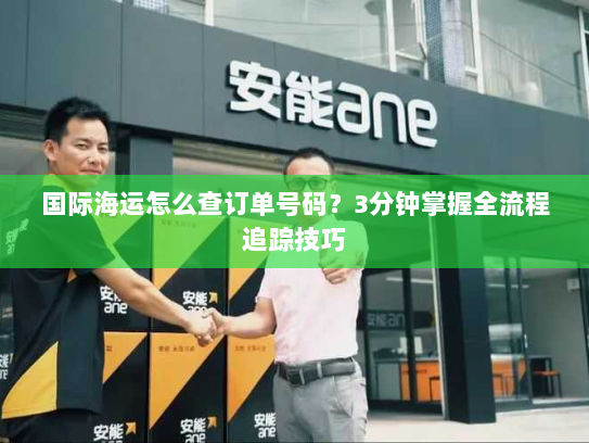 国际海运怎么查订单号码？3分钟掌握全流程追踪技巧
