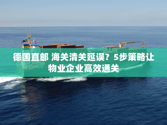 德国直邮 海关清关延误？5步策略让物业企业高效通关