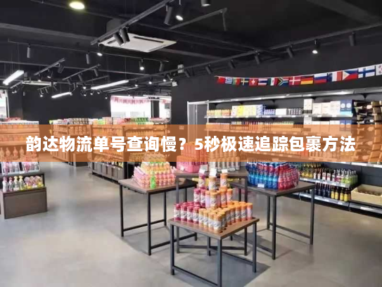 韵达物流单号查询慢？5秒极速追踪包裹方法