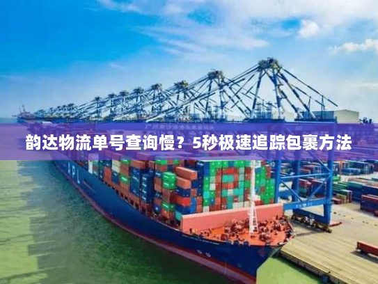 韵达物流单号查询慢？5秒极速追踪包裹方法
