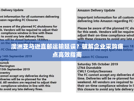 澳洲亚马逊直邮运输延误?破解企业采购痛点高效指南 澳洲亚马逊直邮运输延误?破解企业采购痛点高效指南