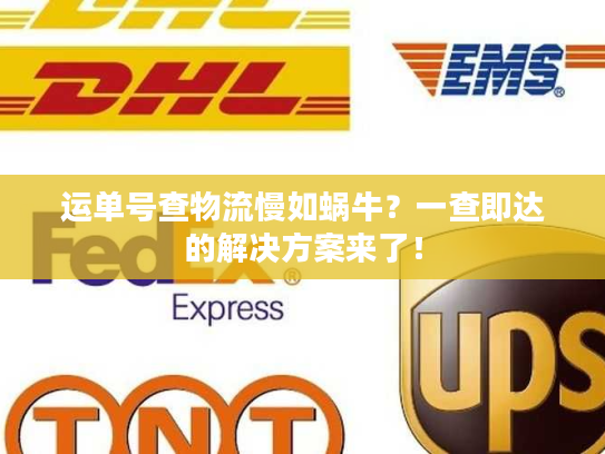 运单号查物流慢如蜗牛?一查即达的解决方案来了! 运单号查物流慢如蜗牛?一查即达的解决方案来了!
